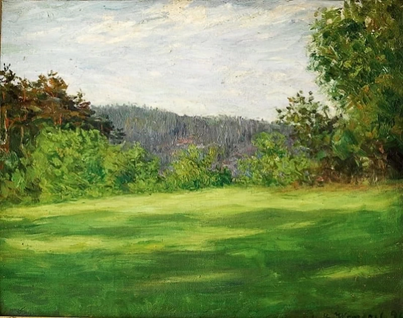 Erba verde